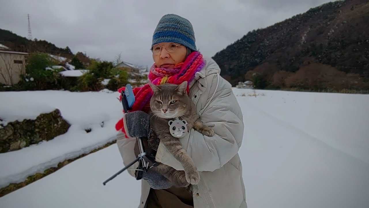 2階から降りて来て.. おばあちゃんを待って散歩に出て.. 水が流れる側溝の中から出て来て抱っこされて帰る猫…【さっちゃんとおばあちゃんの散歩・1143日目】・・・
