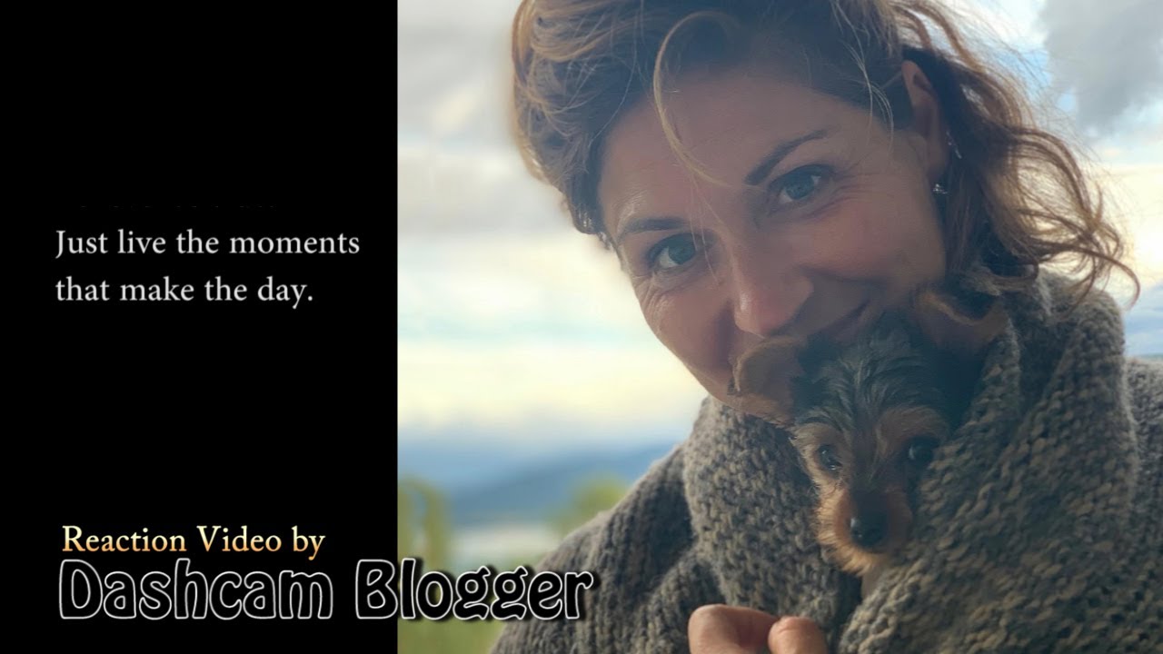 Sissel - Winter Morning reaction video Dashcam Blogger