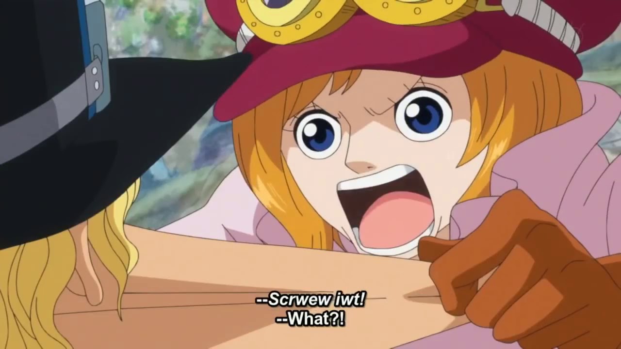 Koala is Worried about Sabo after fight against Fujitora