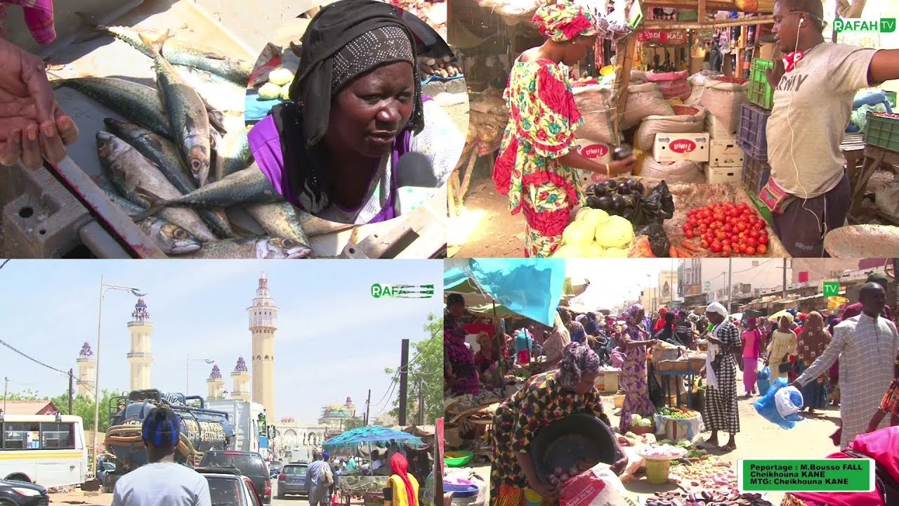 C0V1D-19 : au C&oelig;ur du March&eacute; aux Poissons (Touba March&eacute; Occass