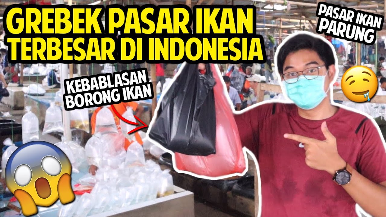 GREBEK PASAR IKAN TERBESAR DI INDONESIA! PASAR IKAN PARUNG! BORONG SEMUA IKAN YANG ADA DISINI!