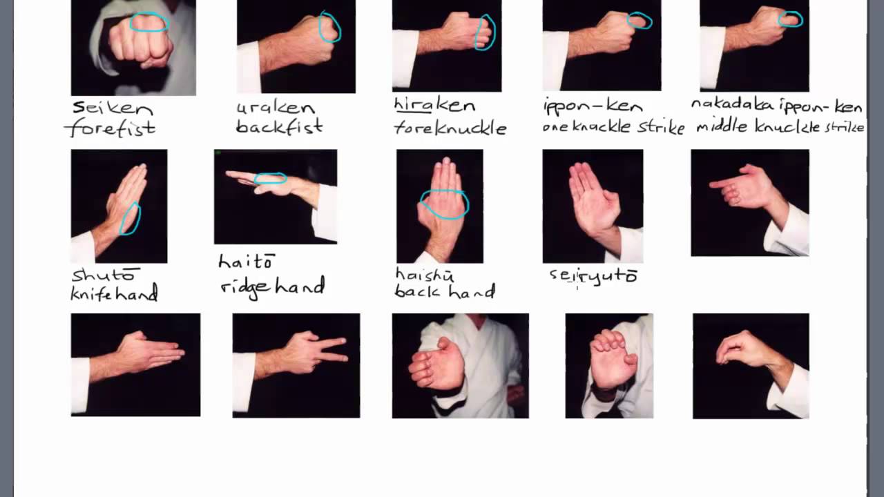 Karate Terminology: Hand Positions