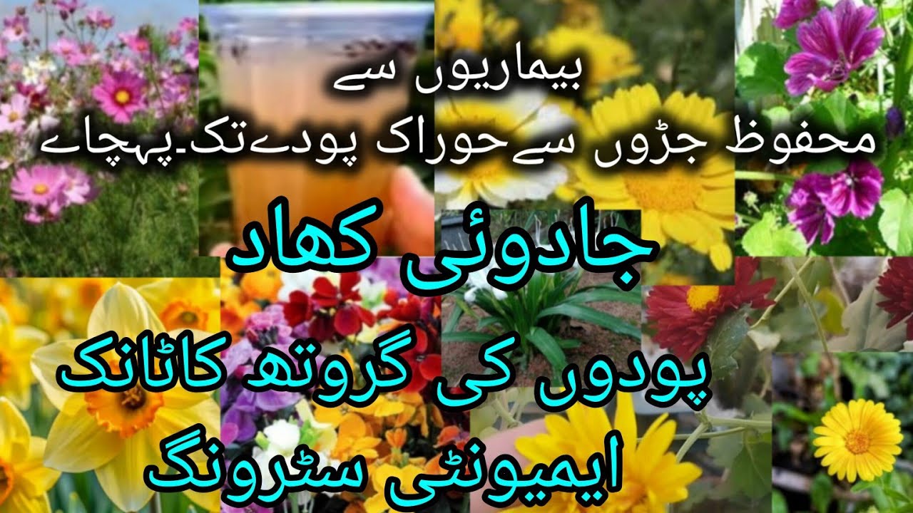 Fertilizer for All Plants with all Essential Elements | Strong Roots and Faster Growth....