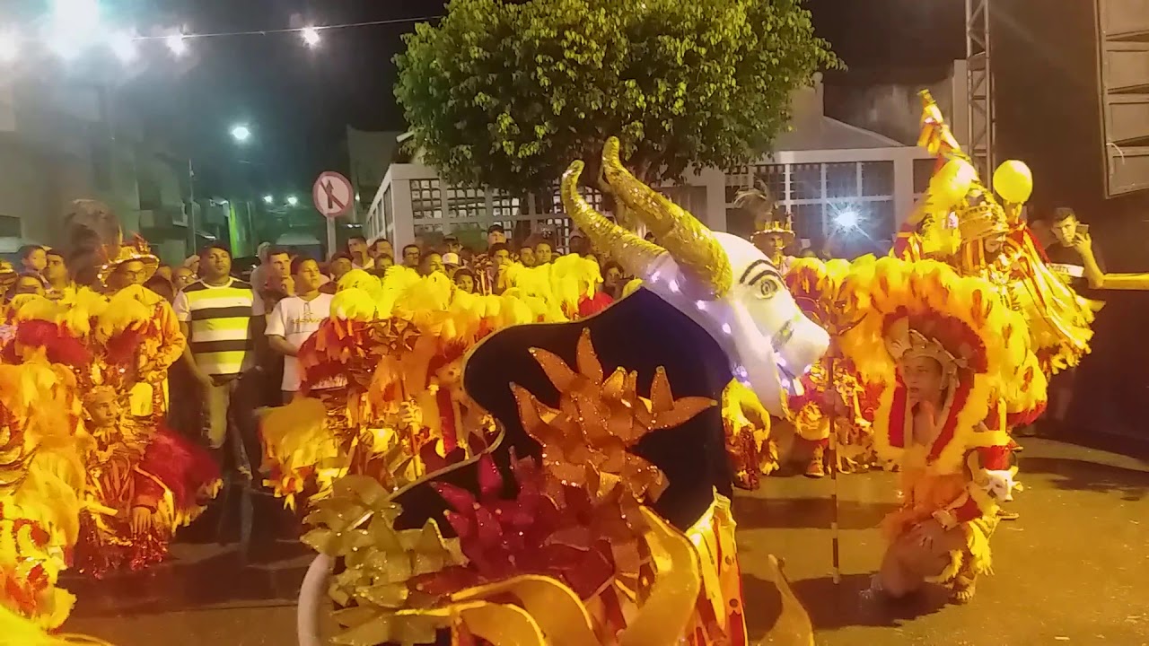 Boi Cara Branca apresentação em Limoeiro-Pe