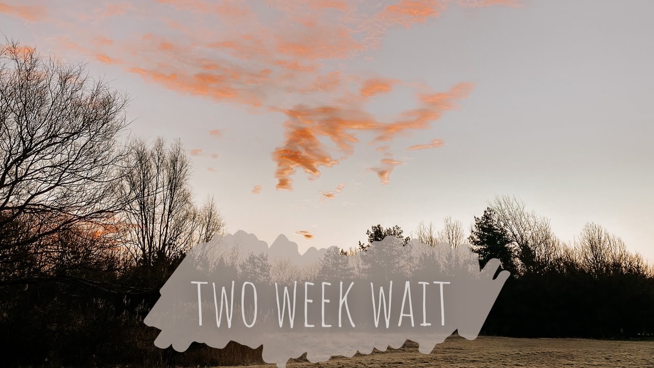 IVF CYCLE #3 | vlog - the two week wait