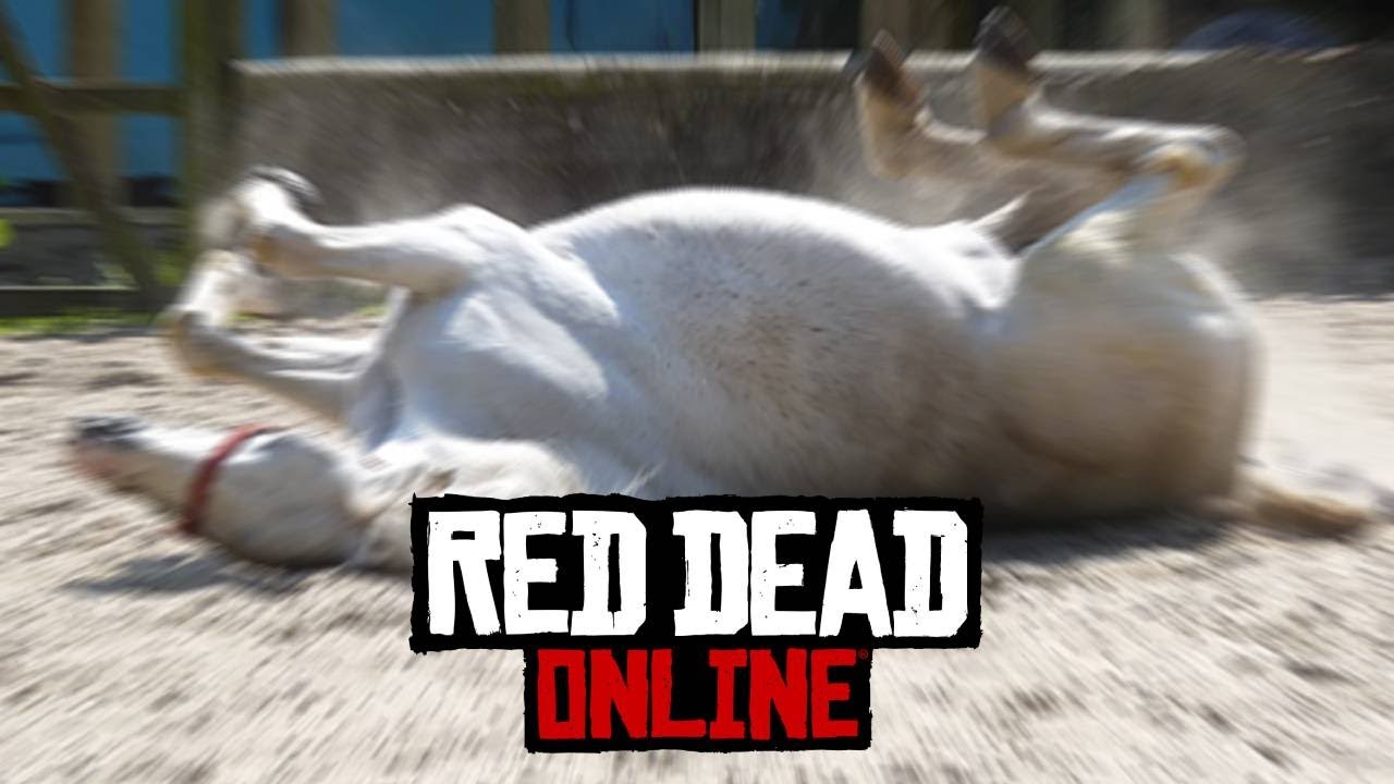Horsing Around Cowboy Style | Red Dead Redemption Online