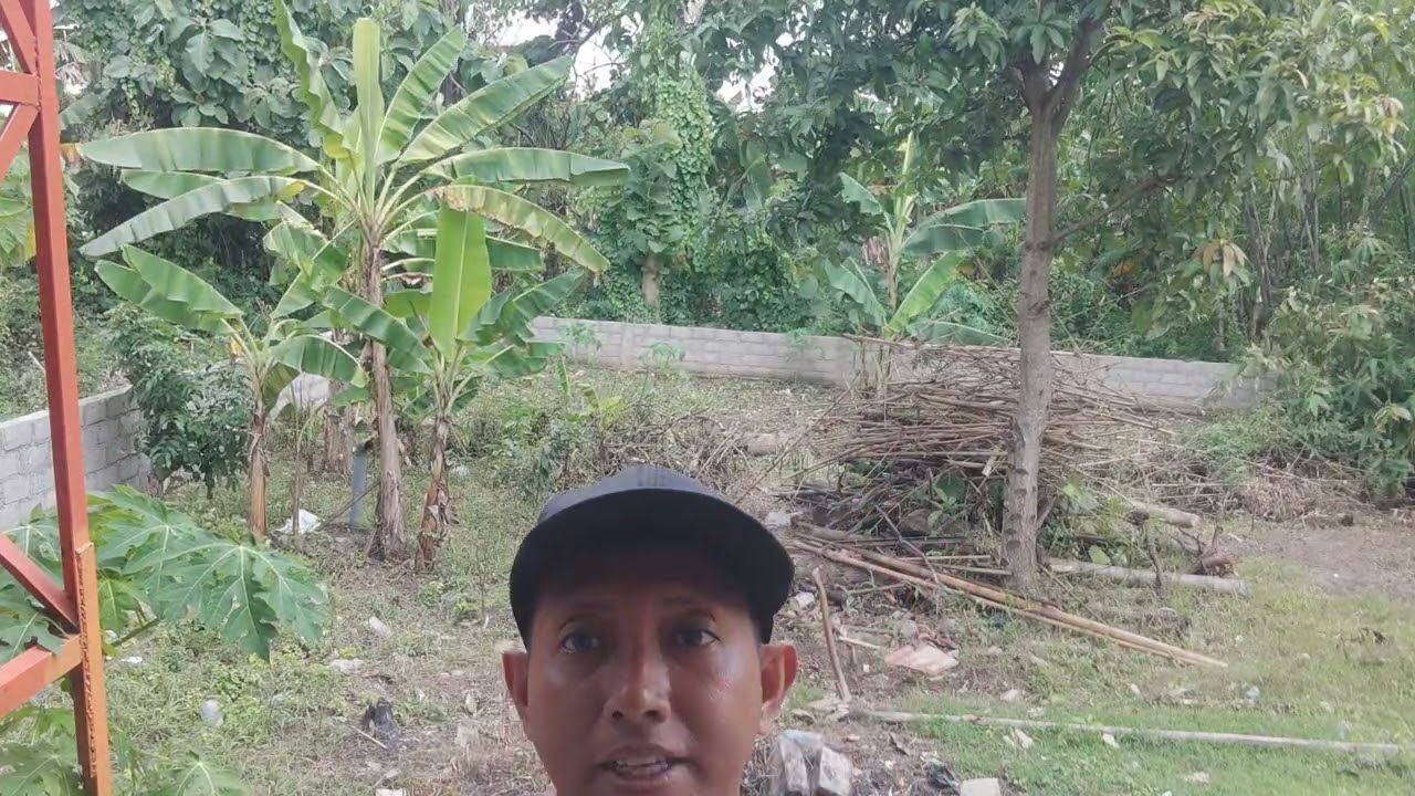 Bersih bersih belakang rumah impian Joko Fitri
