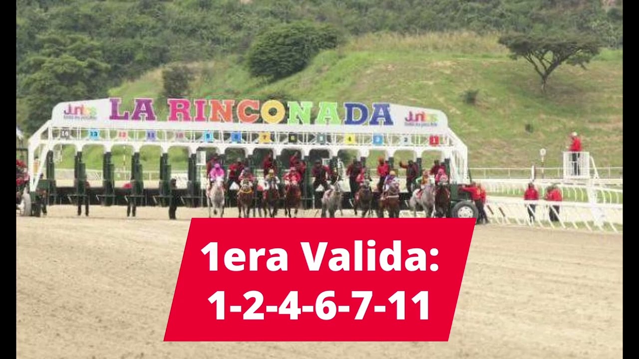 Información para este Domingo 08 de Febrero La Rinconada