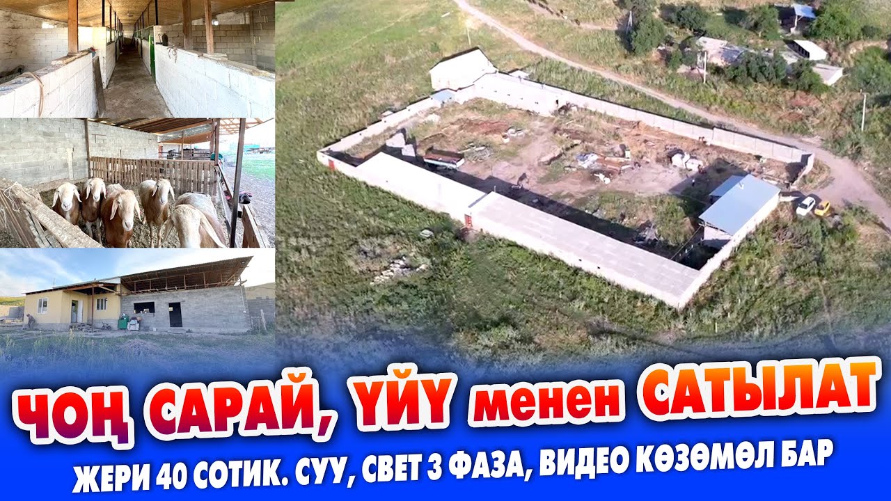 Чоң САРАЙ жашаганга ҮЙҮ менен САТЫЛАТ ~ Жери 40 сотиктен ашык. Кызыл китеби бар