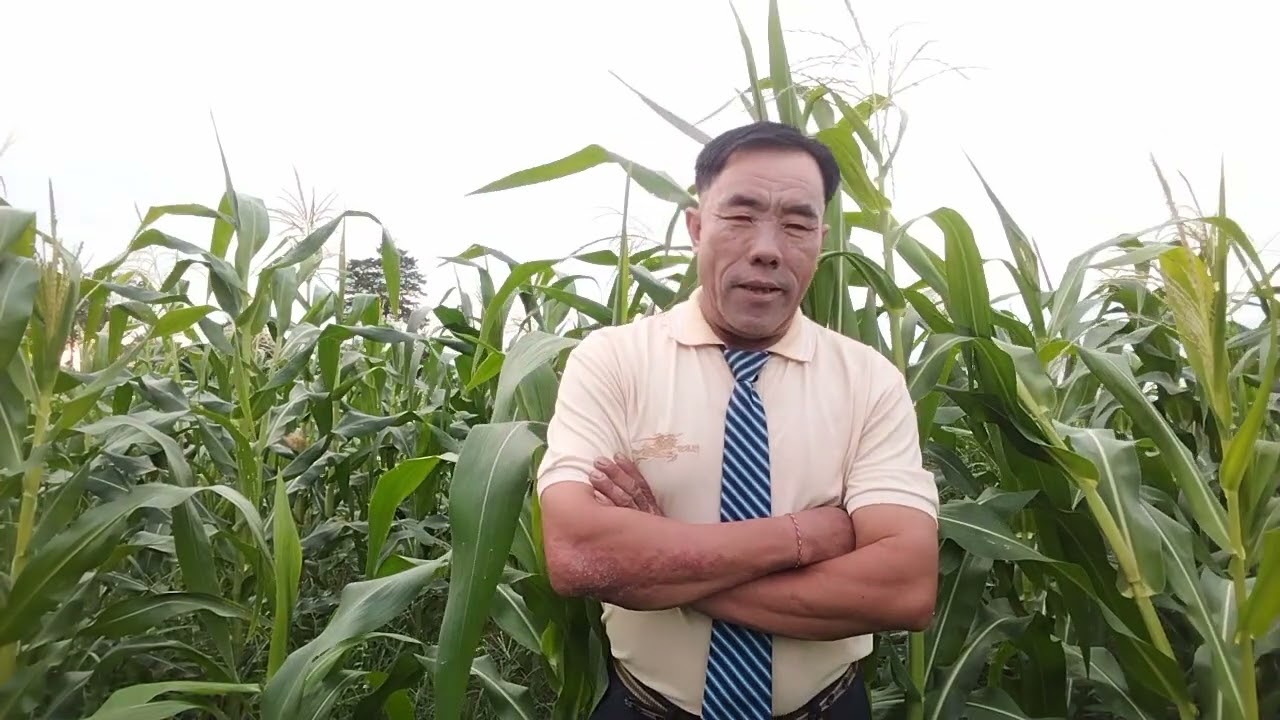 13 ພະຈິກ 2025