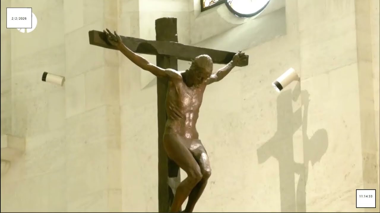 Missa desde a Basílica da Nossa Senhora do Rosário de Fátima  02.02.2026