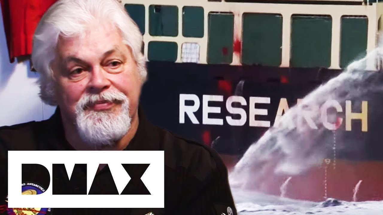Sea Shepherds Target Whaling Ship With Blood Red Paint | Whale Wars