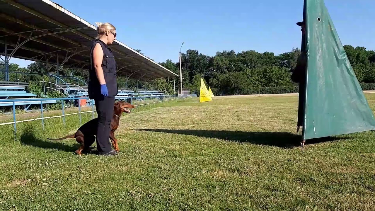 IGP защитный тренинг с Андреем Сахно/ IGP protection training with Andrii Sakhno.