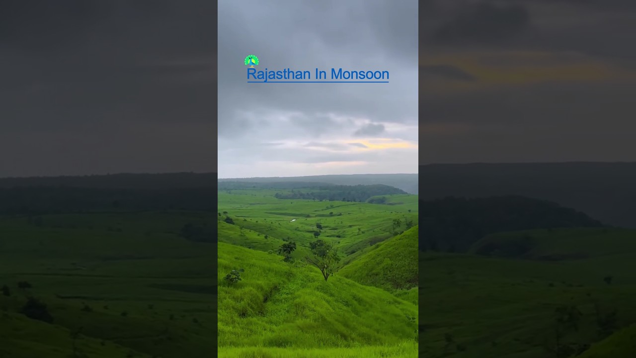 Rajasthan in Monsoon ⛈️🦚🦢