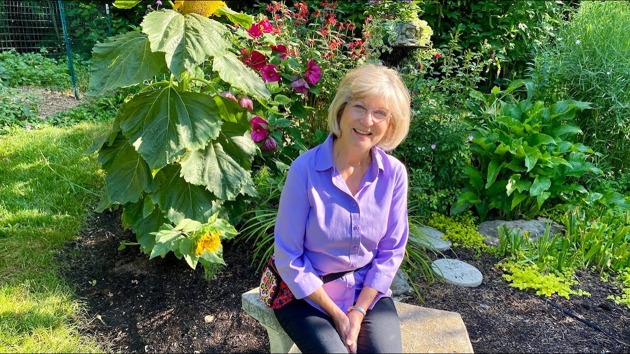 Create Your Own Healing Garden