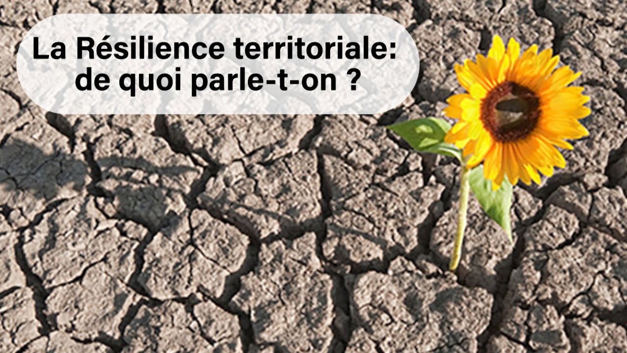 R&eacute;silience territoriale : quel r&ocirc;le peuvent jouer les collectivit&eacute;s locales ?