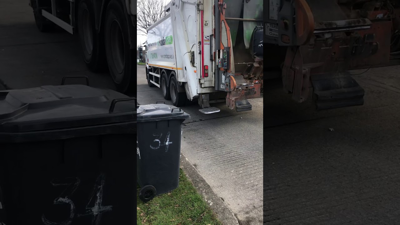 Panda collecting black bins