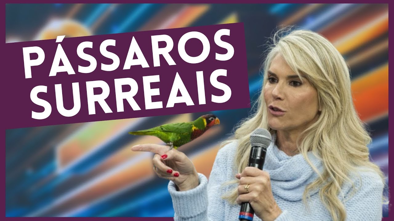 Manu Karsten mostra aves impressionantes no Faust&atilde;o Na Band