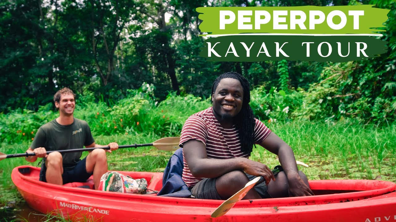 Kayaking Through Peperpot Nature Park | Wildlife Tour in Suriname