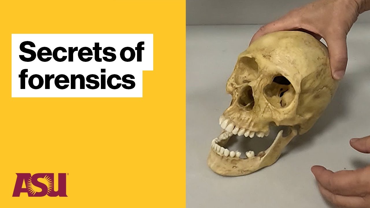 ASU All Access: ASU's forensic science program