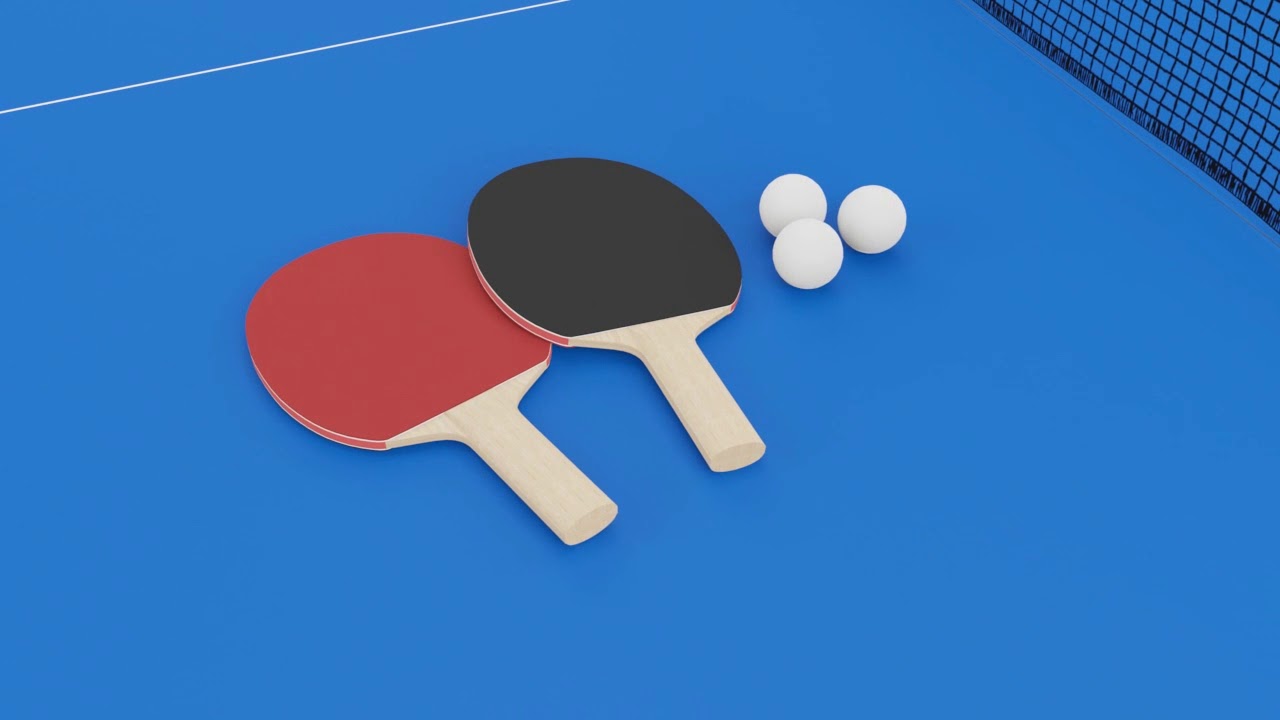 Butterfly Easifold DX22 Rollaway Indoor Table Tennis Table