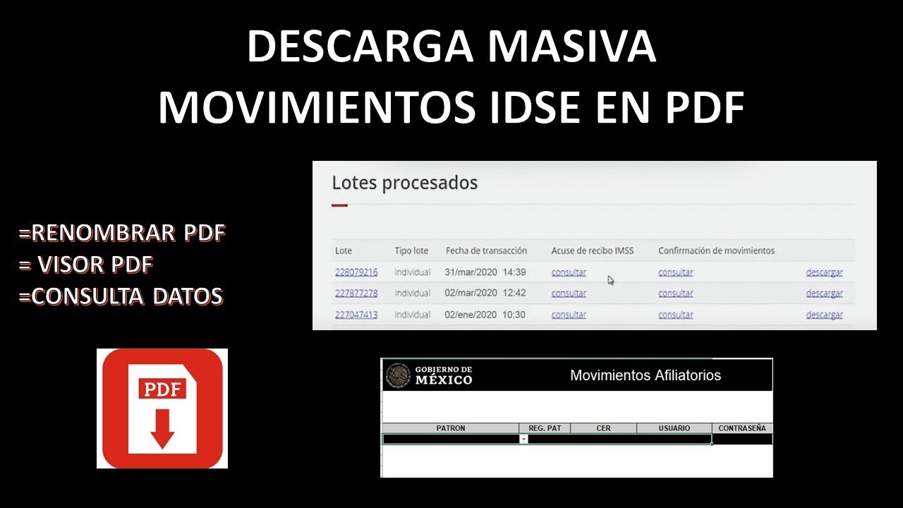 DESCARGA MASIVA DE MOVIMIENTOS  IDSE DIRECTO EN PDF (DESCARGA MASIVA, RENOMBRAR Y VISOR PDF)
