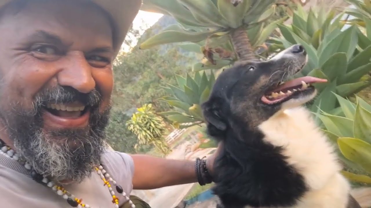 Me despedi de Lambarí.  Mas tem mais vídeos de Minas Gerais!