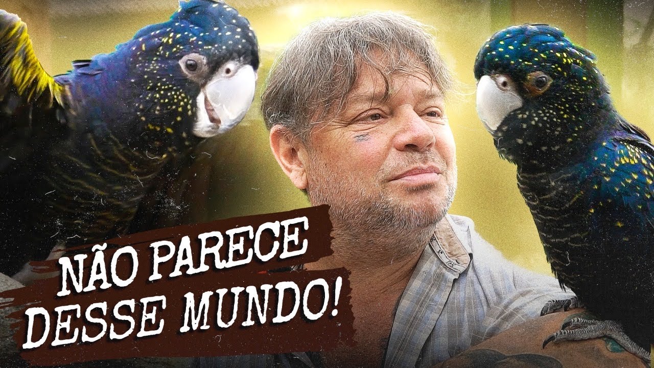 RECEBEMOS UMA CACATUA PRETA MUITO RARA! | A CASA DOS BICHOS