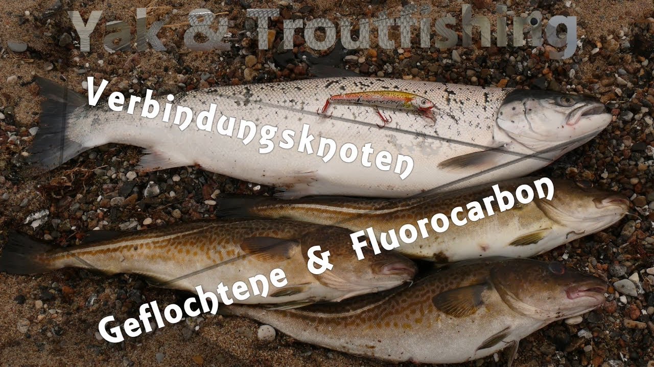 Der Verbindungsknoten Geflochtene - Fluorocarbon / Knotenkunde Teil 2
