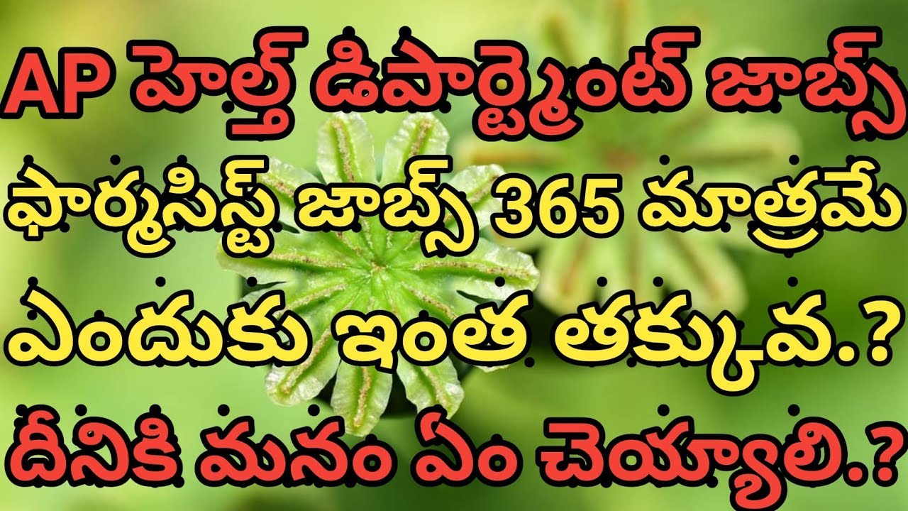 AP HEALTH DEPARTMENT JOBS 2020 || AP PHARMACIST GOVT JOBS 2020 #PharmaGuide