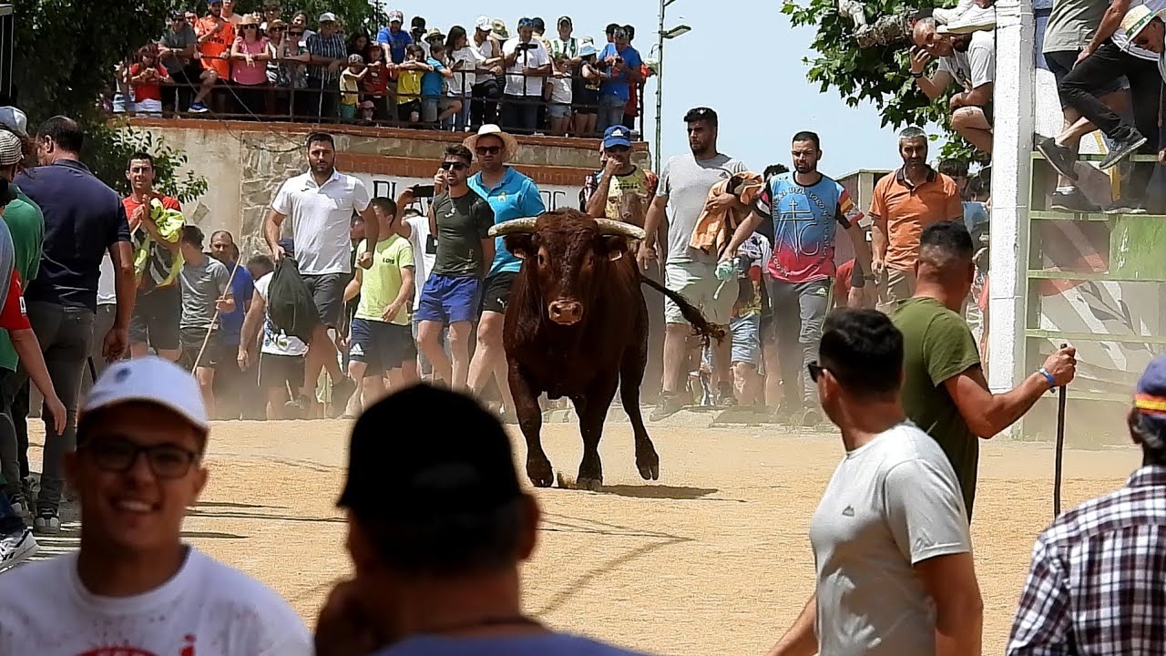 3. As de La Fiesta en Guarrate, Casta Navarra, San Antonio 22-6-2024 (por Carlos López Matias...