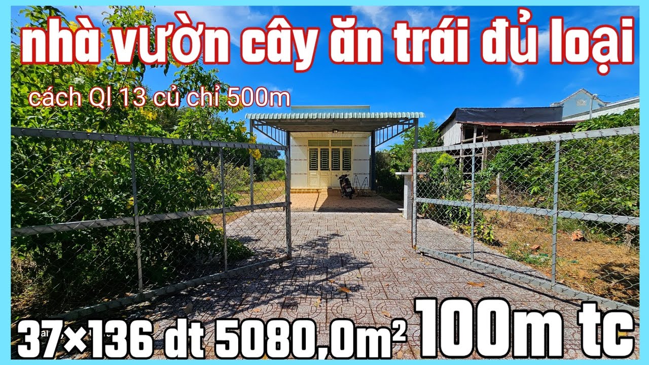 Bán căn nhà cây ăn trái đủ loại mặt tiền nhựa lớn cách Ql dt759b chỉ 500m 37×136×100tc dt 5080,0m² 