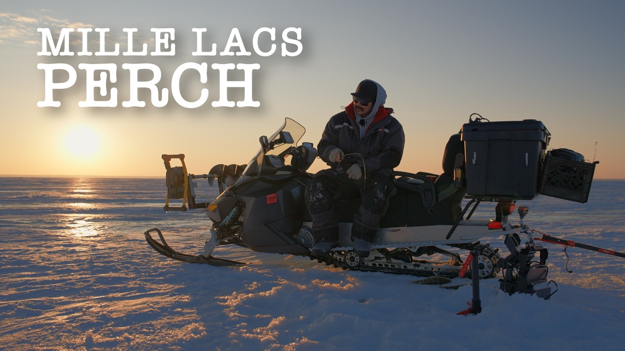 Mille Lacs Perch