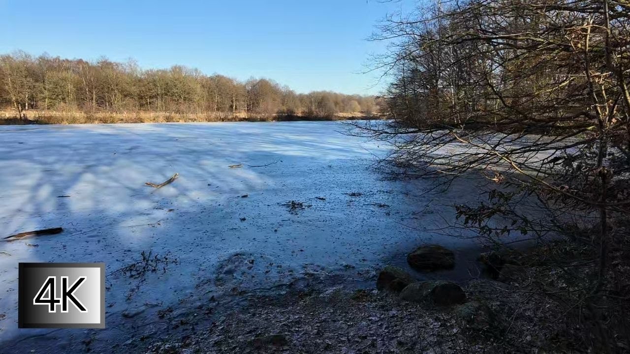 Silent Walk #9 – Open Winter Fields Walk 4K | No Talking | Natural Sounds