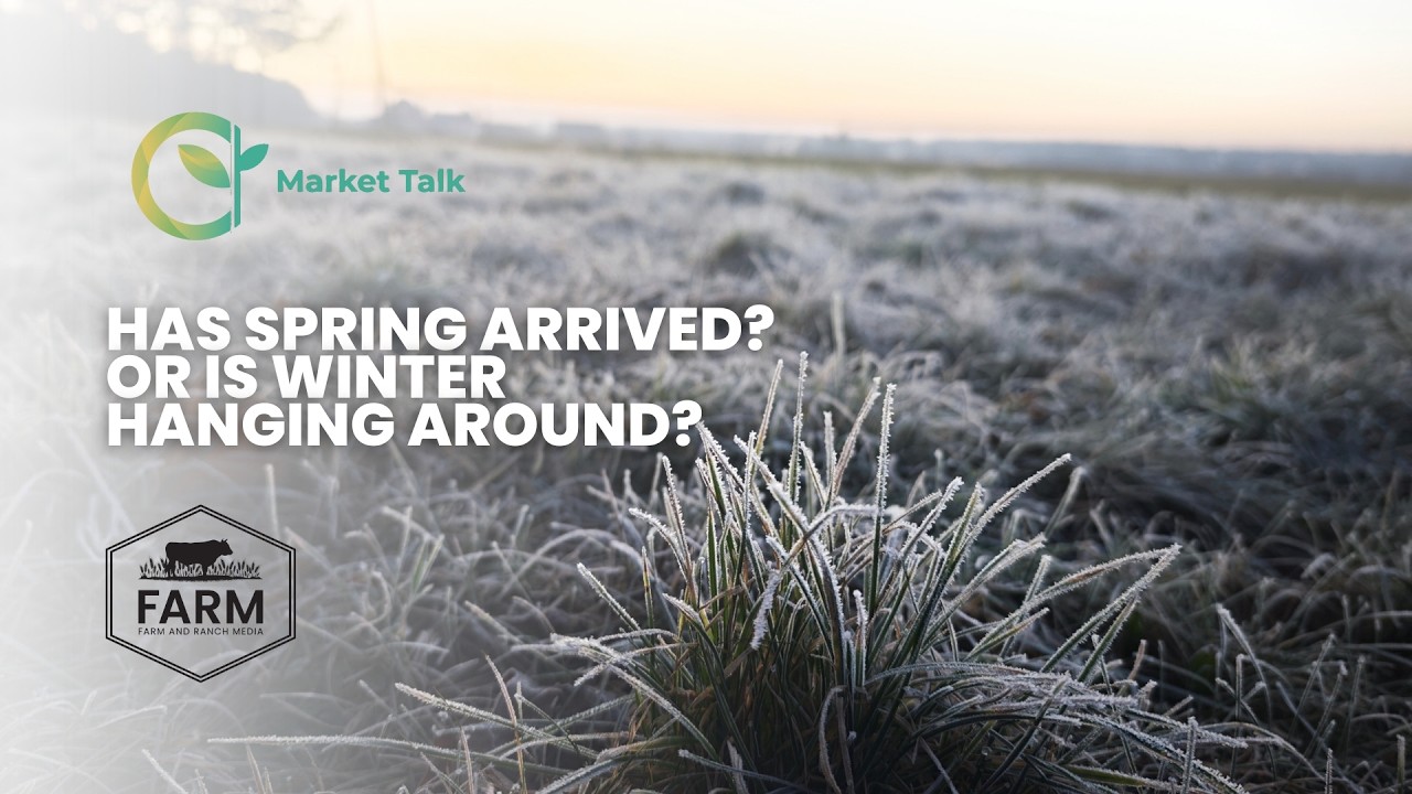 Has Spring Arrived? Or Is Winter Hanging Around?