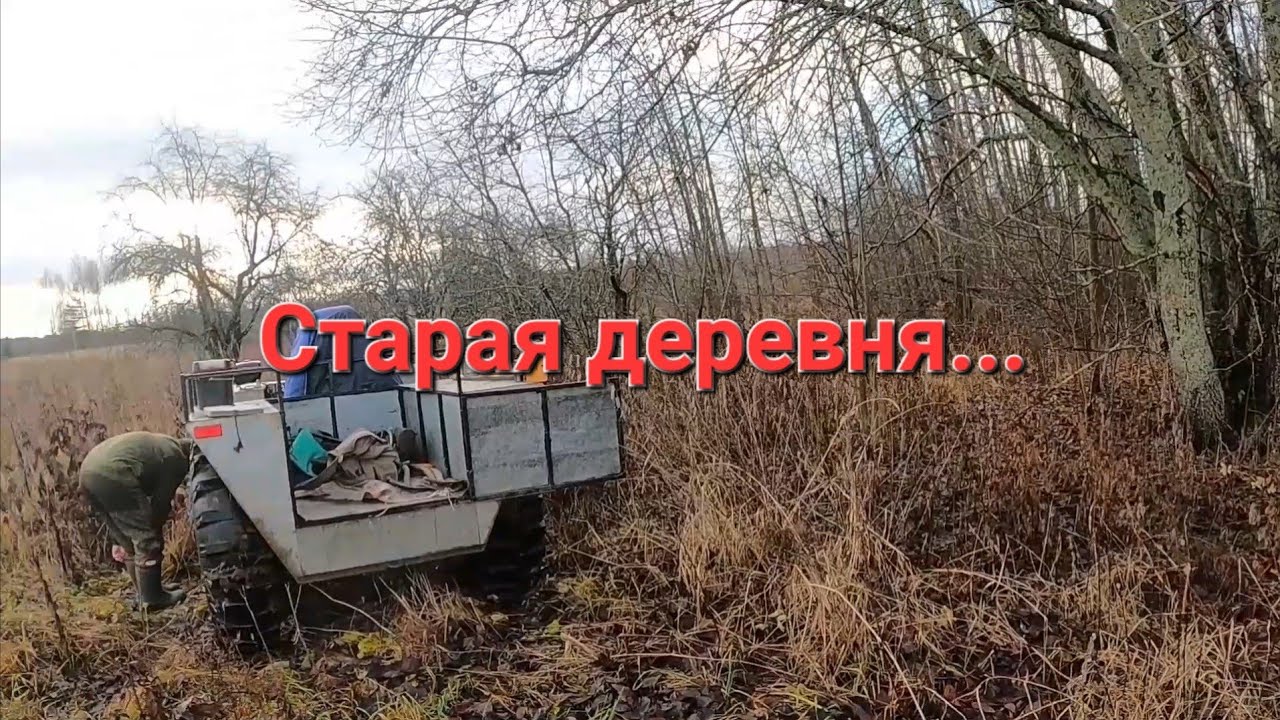 В поисках клада. Выезд по старине. Металлокоп.
