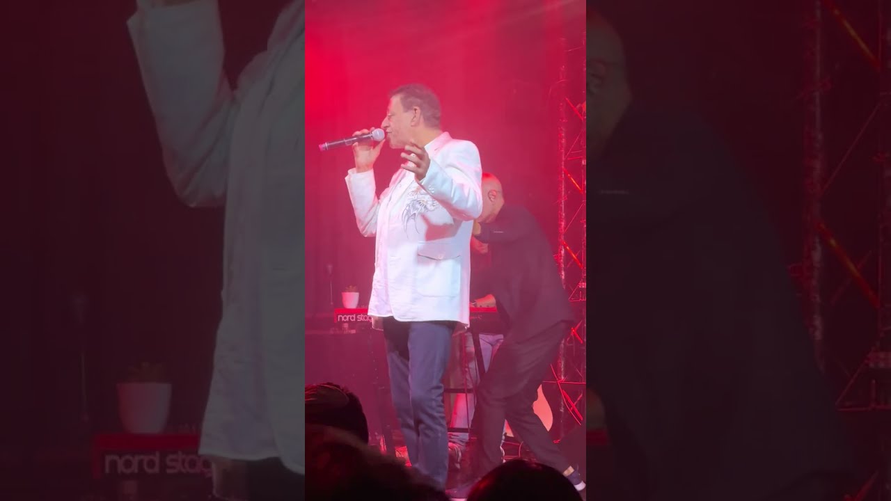 שימי תבורי,רוקפור , אתמול היית שונה ,בארבי, חתול בשק, 01/2023