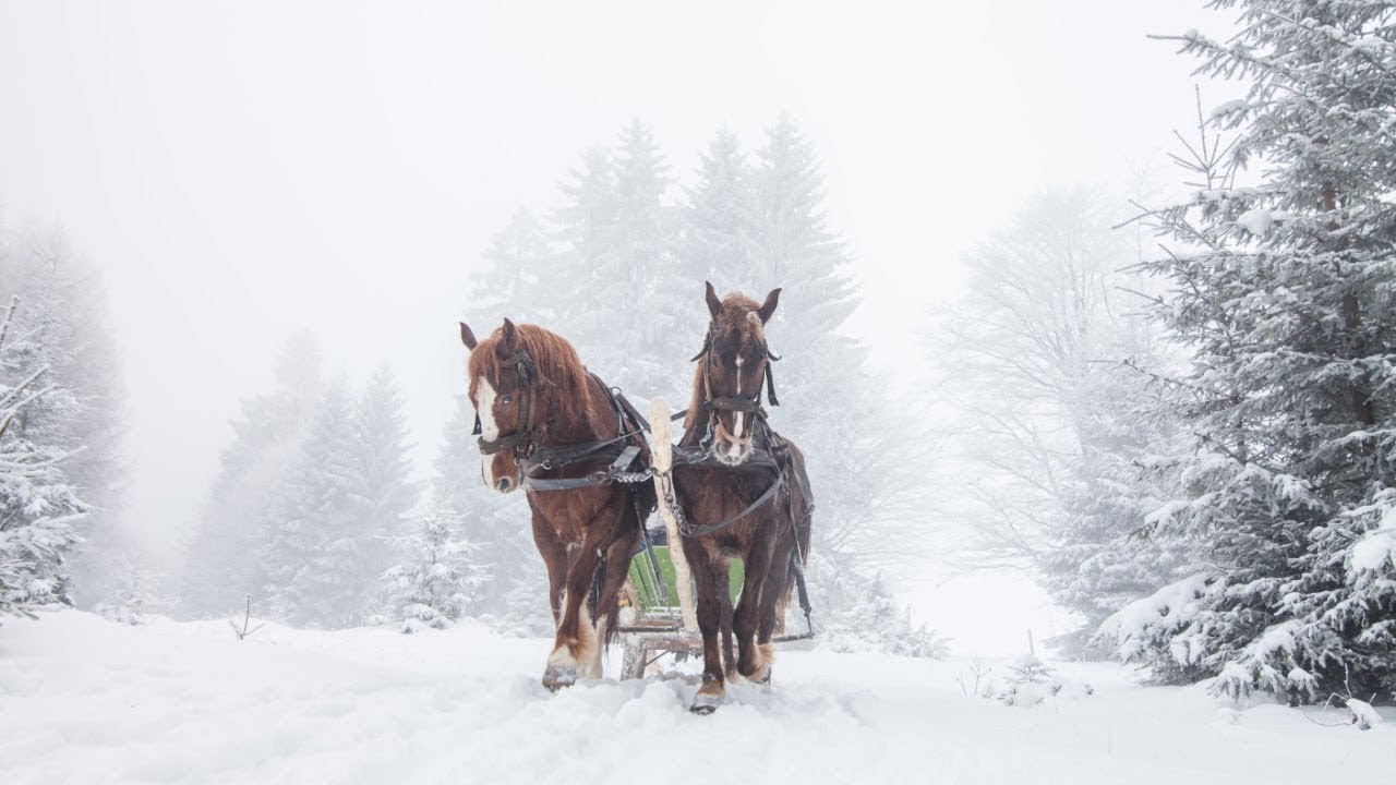 Celtic Christmas Carols, Soft Holiday Christmas Music 