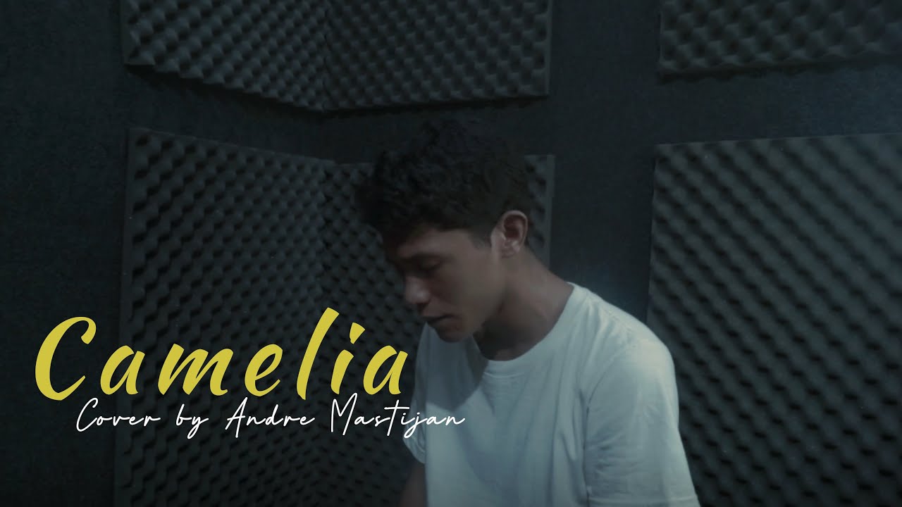 CAMELIA - IRWANSYAH | (Cover By Andre Mastijan)