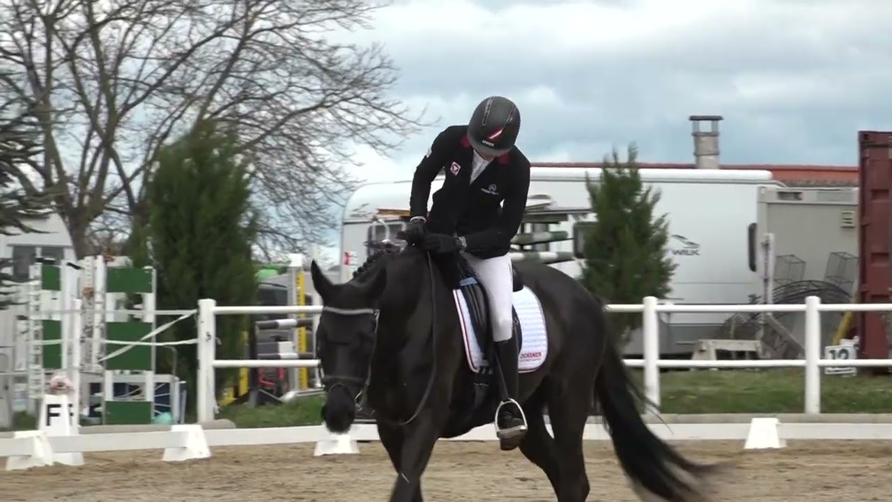 Lea Siegl - Sternenzauberin - CCI** - Ried am Riederberg 2023 april 1-2