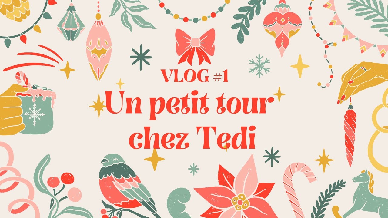 {xmasvlog} Un petit tour chez Tedi