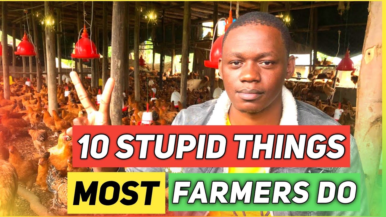 10 Mistakes Most Poultry Farmers Usually Do
