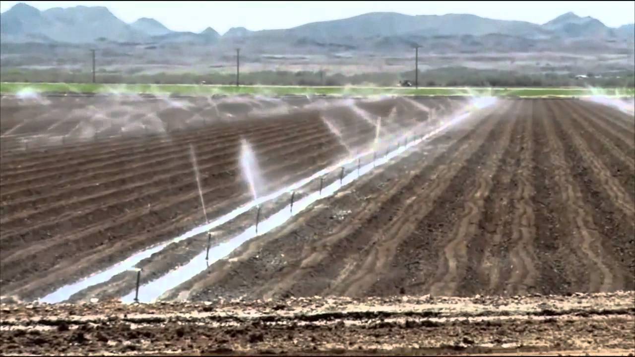 Idea Lab Produces Film on Climate Change
