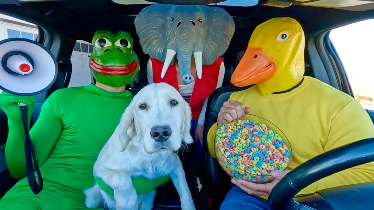 Rubber Ducky Surprises Frog & Puppy with Car Ride Chase!