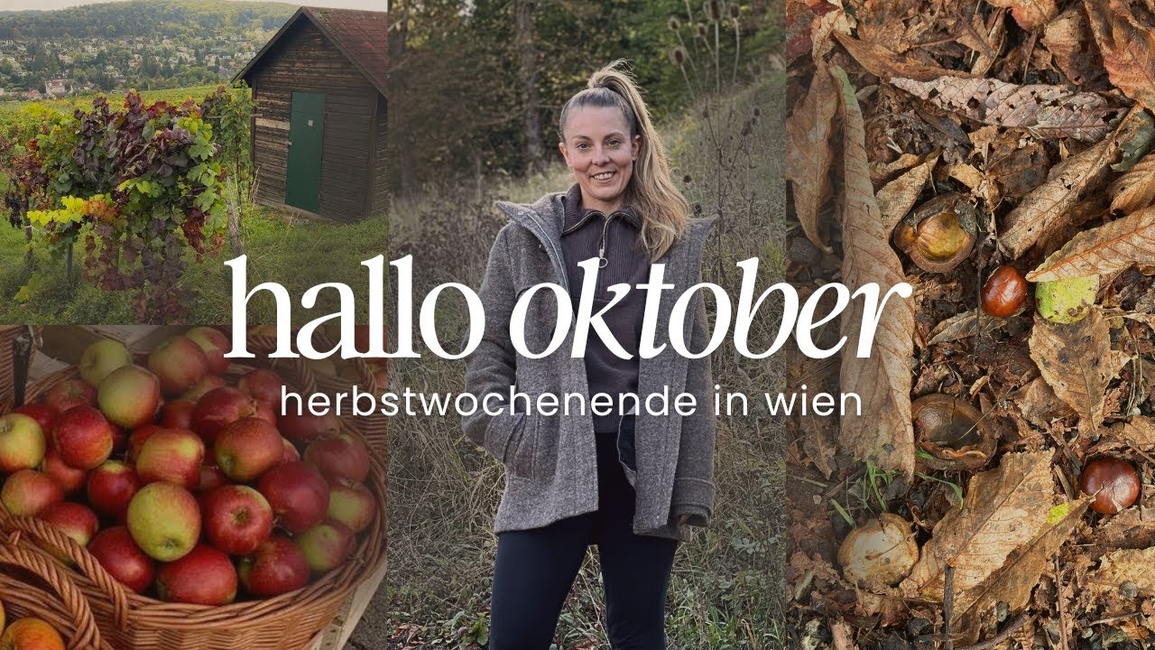 HERBST VLOG  🍂🍁 | Weinberge, meine Morgenroutine & 3 anti-entzündliche Rezepte