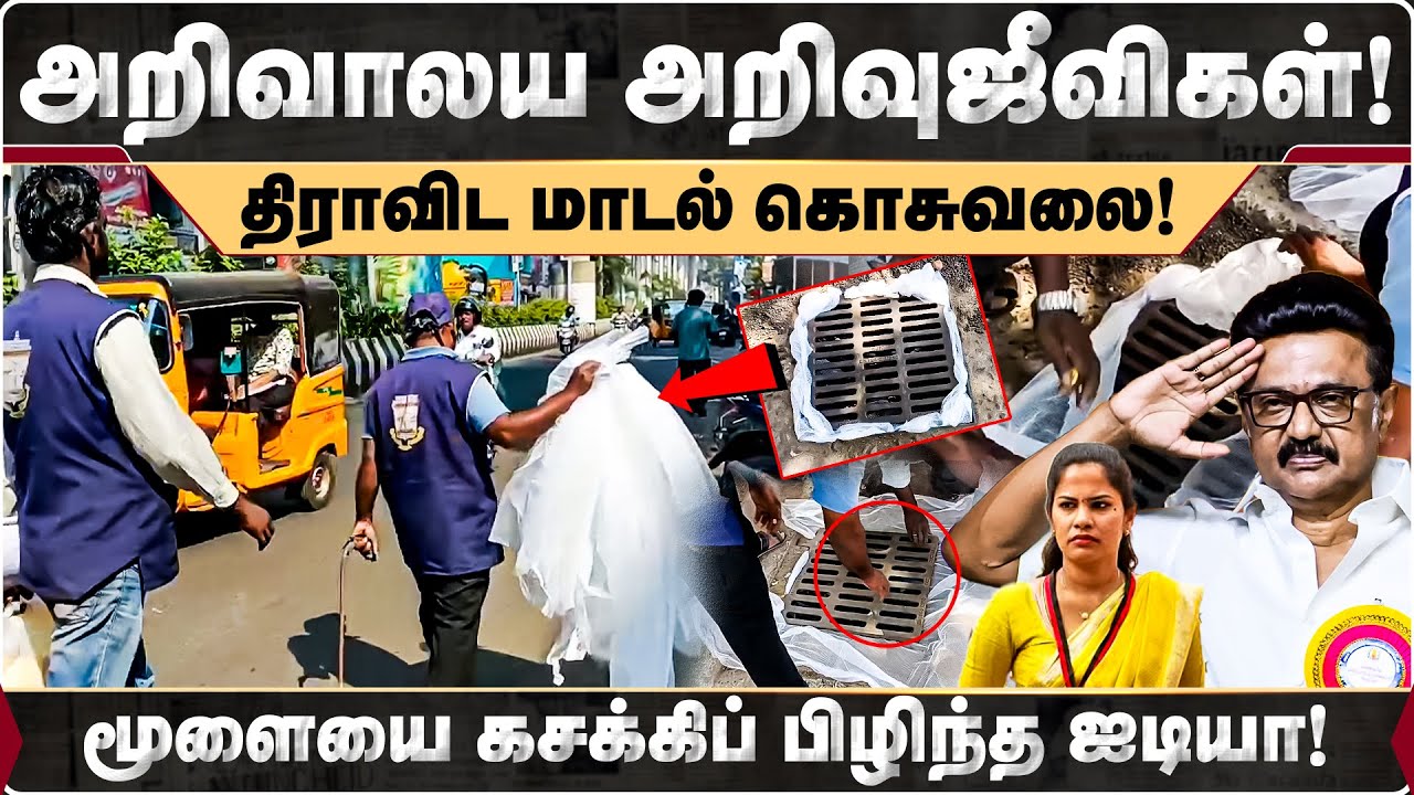 அறிவாலய அறிவுஜீவிகள்! திராவிட மாடல் கொசுவலை! மூளையை கசக்கிப் பிழிந்த ஐடியா! | Chennai Corporation |