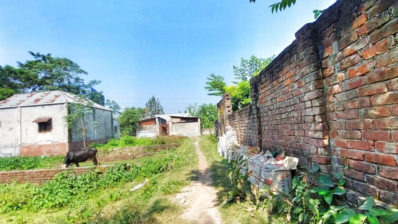 নরসিংদীর চিনিশপুর এলাকায় বাড়ি সহ জমি বিক্রি করা হবে | শহরের কোথায় এটা চলেন ঘুরে দেখি 😍 #Narsingdi