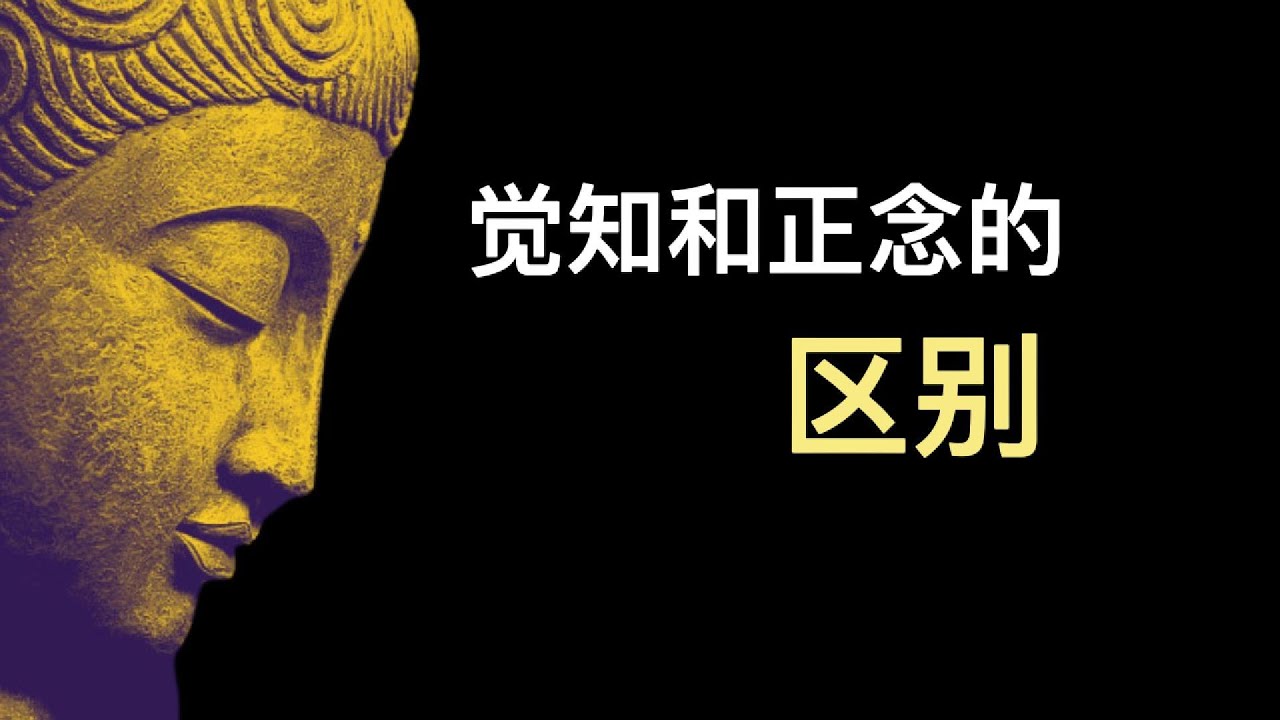 觉知和正念的区别 | 一喃佛法