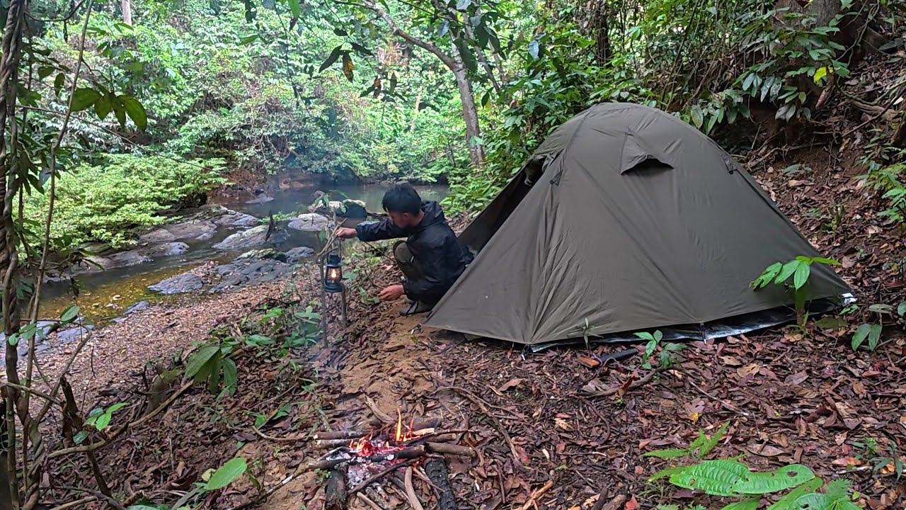 Camping dan mancing di hutan yang jarang di jamah manusia di huni ribuan ikan