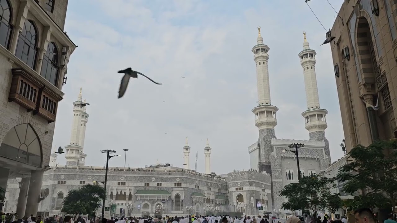 من زاوية مميزة - أذان العصر للمؤذن أحمد خوجة الخميس 5 رجب 1447ه‍ـ